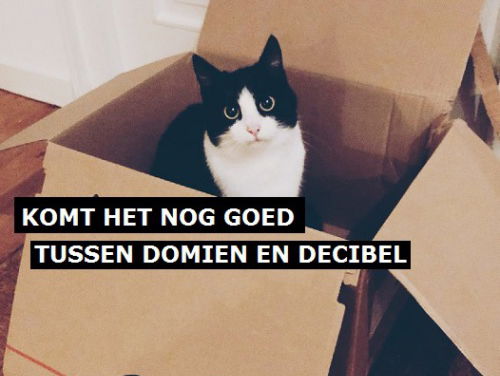 Komt het óóit nog goed tussen Domien en Decibel?! #3FM #drama #cat