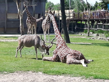 Mark heeft het woord van 2017 al gevonden