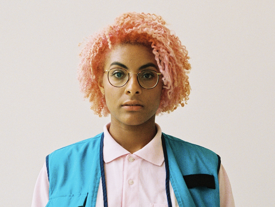 Door wiens ogen kijkt Josephine Zwaan in Koning?