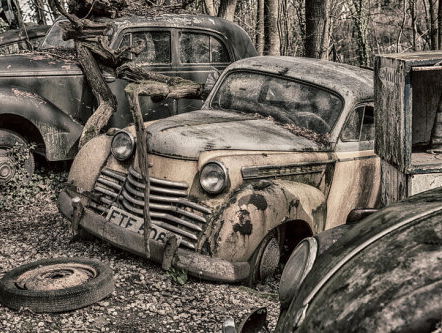 Olivier heeft deze week tragisch afscheid moeten nemen van een dierbare...