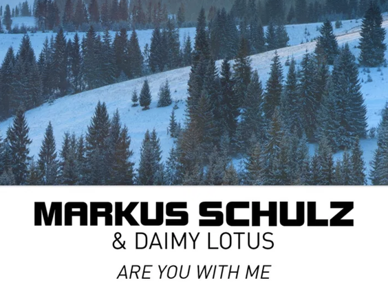 Daimy Lotus vraagt om clarity in Are You With Me