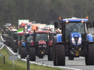 MAMA APPELSAP: TYFUSBOEREN