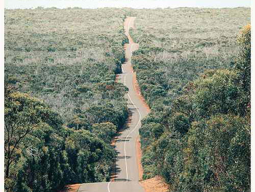 Op een kattenhaar na je favoriete band missen...