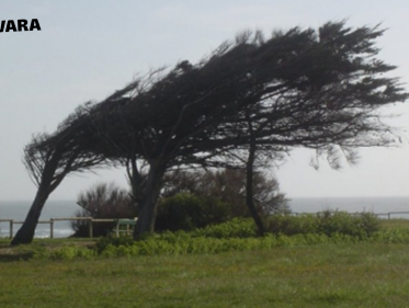 De Regio Reporters: 'doe vooral geen rokje aan met deze storm'
