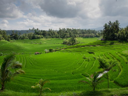 De Backpack Track: Dooran staat weer op een uitgebarsten vulkaan met Jeremy Loops
