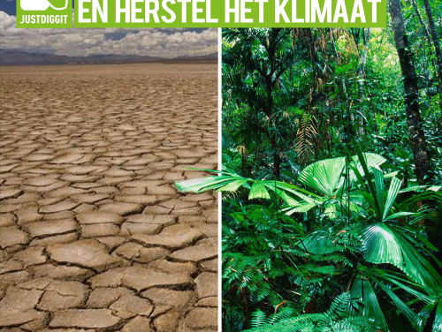 Scheppen voor een koele en vruchtbare aarde: wij doen mee!!!