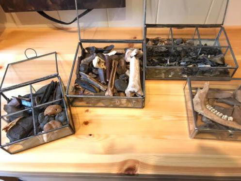 Wie Kent Iemand... Judith heeft een kist vol fossielen, Kees gaat haar helpen achterhalen wat het zijn