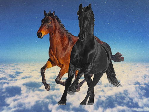 DJ Sandeman's Song van het Jaar, the remix 2019