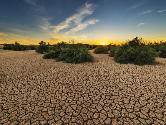 Helga van Leur vertelt alles over de droogte in Nederland