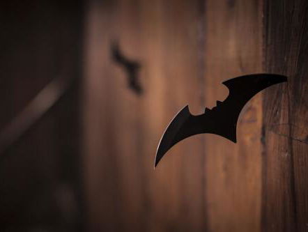 Batman is meer Nederlands dan je denkt