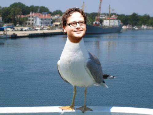 Jade die een meeuw na kan doen