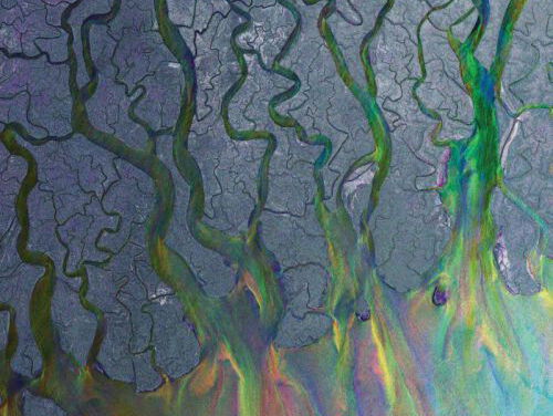 Artiest die doet wat ie zegt: Alt-J ademt wat af op het adembenemende 'Bloodflood'