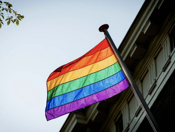 Kamerlid Vera Bergkamp over het uitbannen van homogenezing