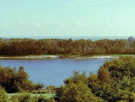 Komt het nog wel goed met Eilân en gaat de Jeugd van Tegenwoordig richting de Techno? | Festival Update