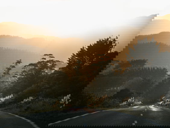 Nick ontdekte BENEE in Nieuw-Zeeland #BACKPACKTRACK