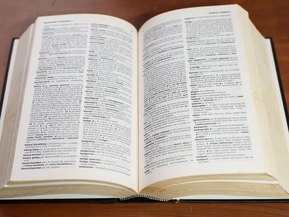 Nieuwe taal leren in lockdown? Wouter spreekt 23 talen!