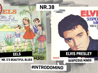 INTRODOMINO: Eels - Mr E's Beautiful Blues & Elvis Presley - Suspicious Minds