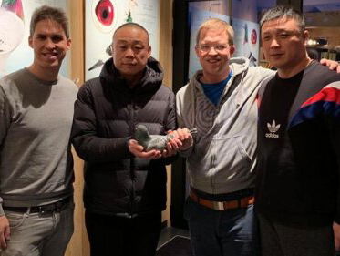 Hoe komt het dat de Chinezen opeens zoveel interesse in duiven hebben?