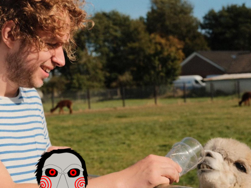 Nieuwe SAW-trailer of etende alpaca?!