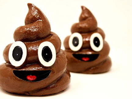 En toen kwam er poep en plas uit het plafond