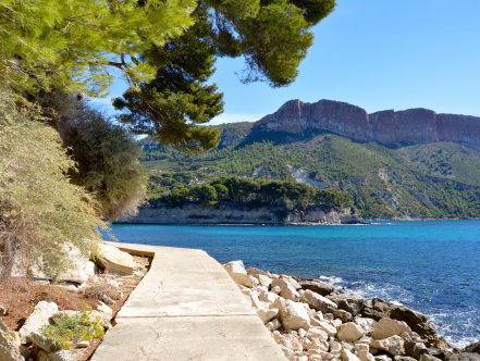 Martien uit Ik Vertrek probeert het nog een keer!