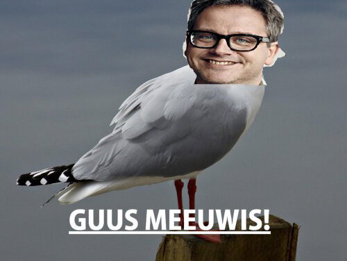 Jade is Nederlands Kampioen Meeuwen Schreeuwen