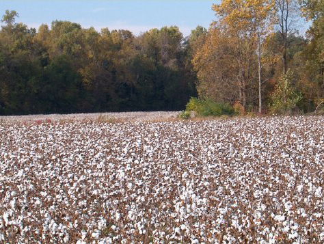 Geschiedlied: Bruce Springsteen - O Mary Don't You Weep
