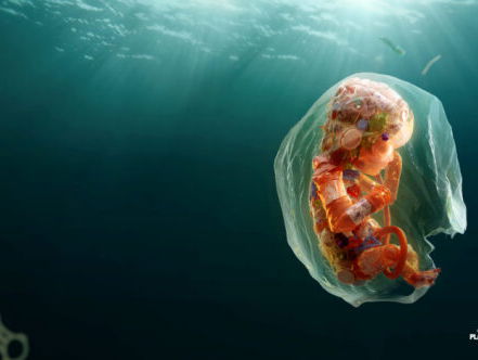 Wat doet de Plastic Soup Foundation om het plastic probleem aan te pakken