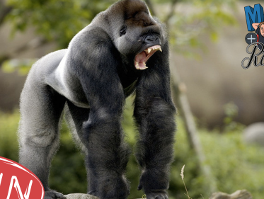 Mama Appelsap: Bokito, Bokito!