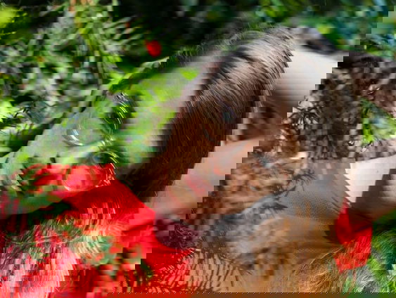 Oceanic’s Never Done is een zorgvuldige in elkaar gepuzzelde verzameling van improvisaties