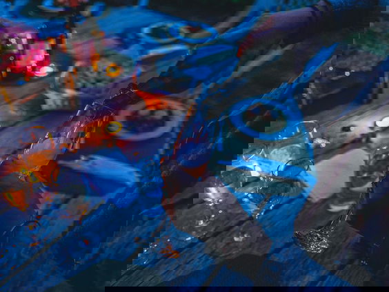 Frank en Eva raden hoe het weekend van de luisteraar klinkt