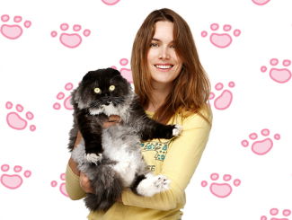 Samensmelting katten Lize Korpershoek spannender dan Netflix