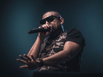 'BLU' van Sean Paul is een grote sample