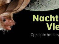 De enige echte Batman aan de lijn over hoe je je tuin vleermuisvriendelijk krijgt!