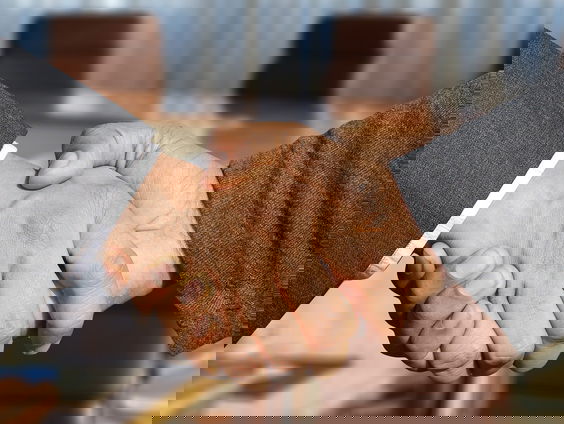 Etiquette-koning Jan-Jaap over de geliefde én gevreesde drie zoenen