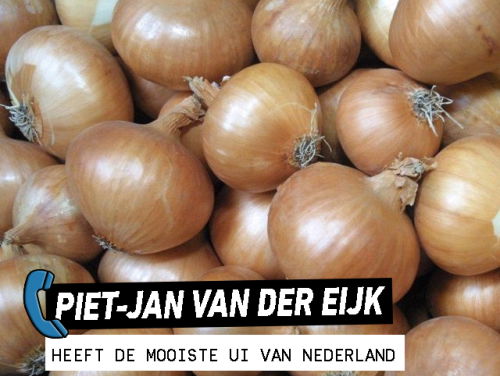 De mooiste uien van Nederland