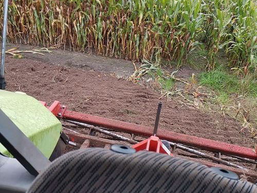 Medewerker van de dag: Jelme is bezig met Vanggewas zaaien