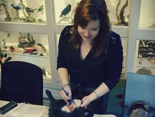 'Vijf Vragen Aan' Taxidermist Marjolein