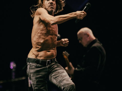 Iggy Pop Passenger