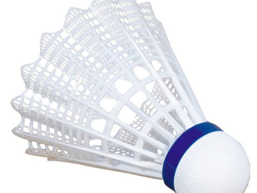 Anke krijgt een trauma van Sander's show