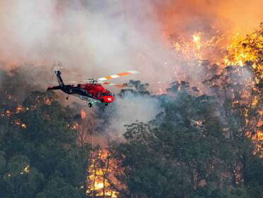 Hoe zijn de bosbranden in Australië zo uit de hand gelopen? Bosbrandonderzoeker Guido legt uit.