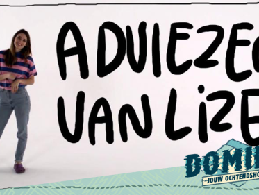 Adviezen van Lize: help, ik wil timmerman worden, maar de omgeving steunt me niet!