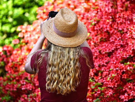 Help hem zijn droomvrouw vinden!