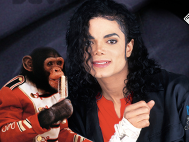 Hoe gaat het met de aap van Michael Jackson?