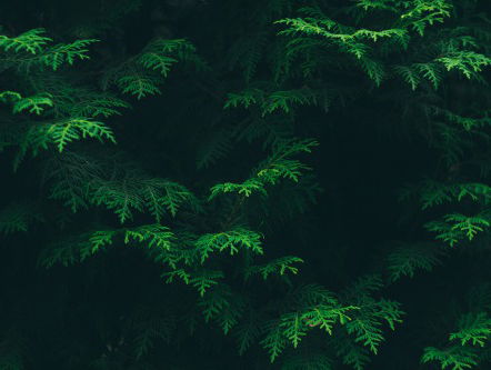 Een eerlijk en open verhaal over wildpoepen