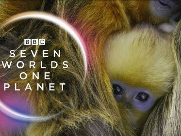 Cameraman Michael J. Sanderson over epische nieuwe natuurserie BBC 'Seven Worlds, One Planet'