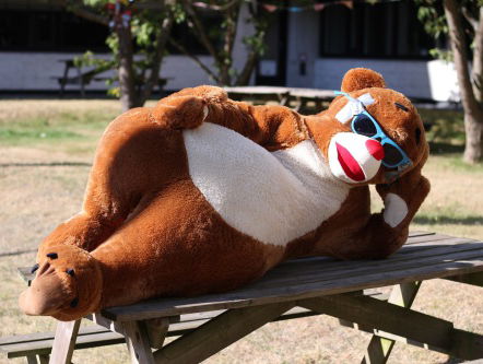 De Insmeerbeer neemt afscheid.