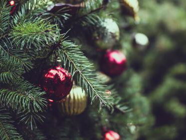 De traditionele zoektocht van Mark naar de PERFECTE kerstboom