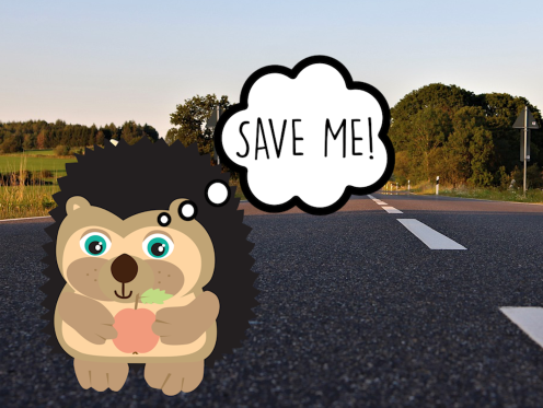 Rámon is begaan met egels en belt met de egelbescherming