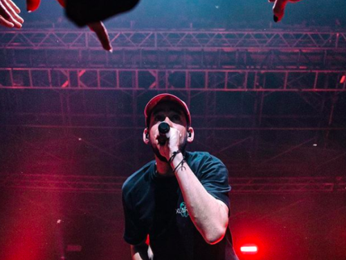 Volgens Annika is Mike Shinoda één van de beste artiesten!